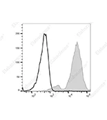 Human CD151